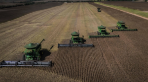 Alerta global: conflicto en Oriente Medio podría disparar el precio de los alimentos, advierte la FAO