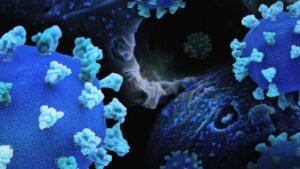EE.UU. asegura que el riesgo de hantavirus para sus ciudadanos es “muy bajo”